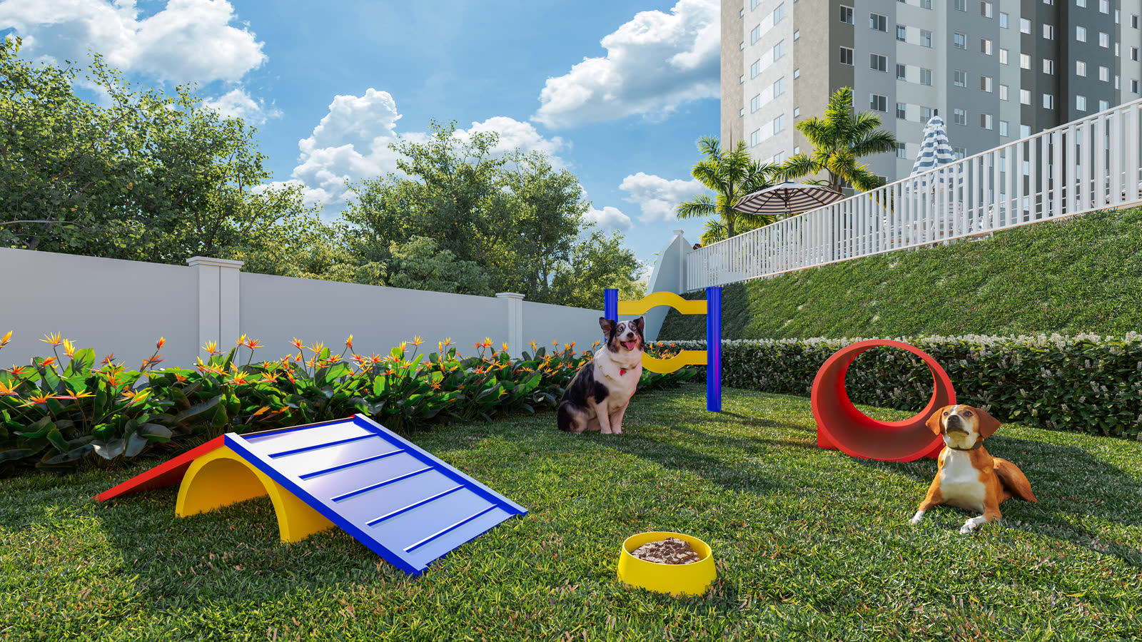 Pet place